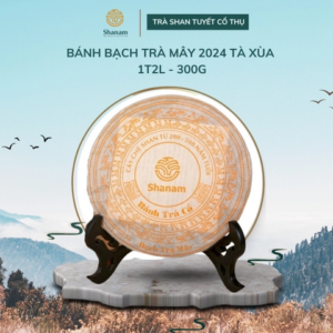 BÁNH BẠCH TRÀ MÂY 2024 TÀ XÙA 1T-2L 300G BTR