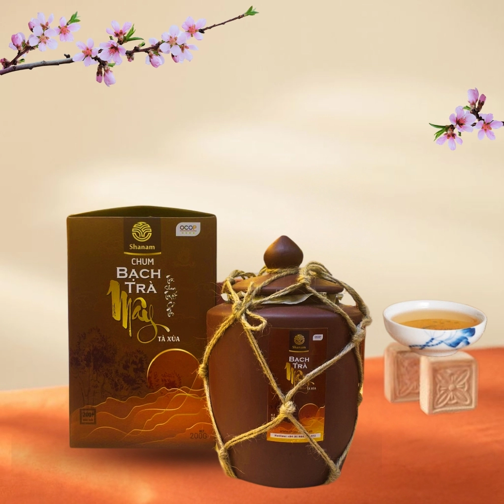 CHUM BẠCH TRÀ MÂY TÀ XÙA 1 TÔM – 2 LÁ 200G
